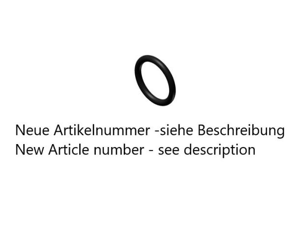 RI-0813g-2010 O-Ring
